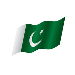Pakistan flag, vector illustration
