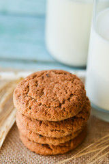 fresh oatmeal cookies and milk on blue wooden background with spikelets of oat