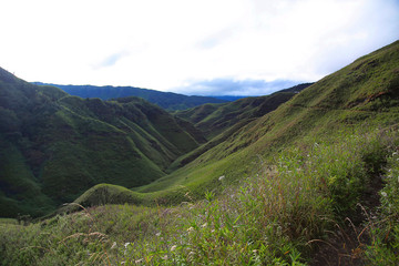 Dzükou Valley. Border of the states of Nagaland and Manipur, India