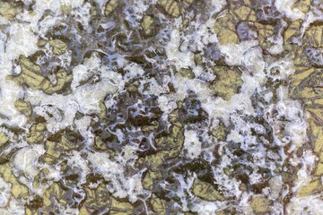  Ice crystals on a green surface