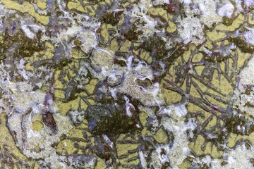  Ice crystals on a green surface