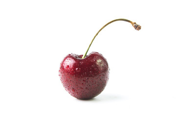 cherry berry with water drops. Isolated Close-up