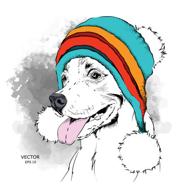 The poster with the image dog portrait in winter hat. Vector illustration.