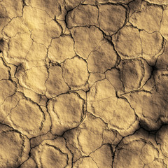 Cracked ground
