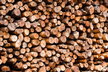 Natural wooden background - closeup of chopped firewood.