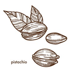 Delicious pistachio in shell with couple of leaves