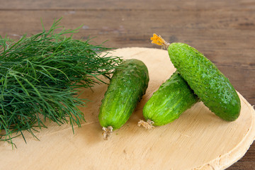 Cucumbers and bunch of fresh organic dill on a rustic wooden background.