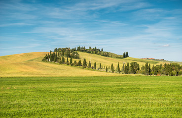 Tuscan countryside
