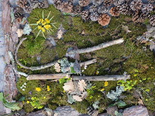 Oeuvre de land art par un enfant