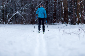 Image from back of skier athlete in forest at winter