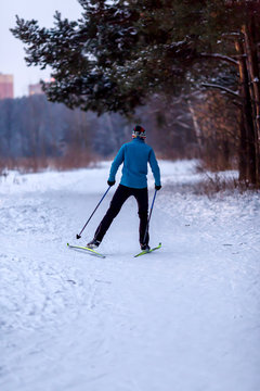 Image from back of male skier in blue jacket in winter forest