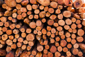 Natural wooden background - closeup of chopped firewood.