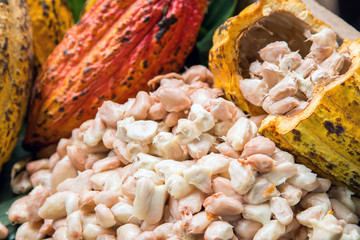 Cocoa beans and cocoa pod on a wooden surface.