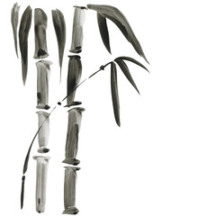 Bamboo in Chinese style. Beautiful watercolor hand painting illustration.