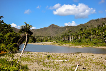  immerse yourself in nature