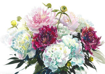 Watercolor flowers. Blooming pink peony. Watercolor background.