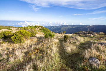 Fototapeta na wymiar Mountain landscape on Madeira, Portugal