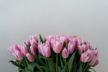 Fototapeta premium Bunch of soft pink tulips on a white background with copy space above.
