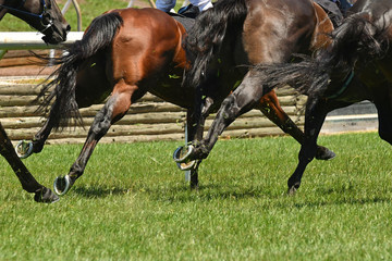 Horse racing action
