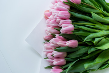 Tenderness of first tulips in spring. Soft pink fresh cut bunch of flowers.