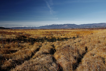 Naklejka premium Landscape
