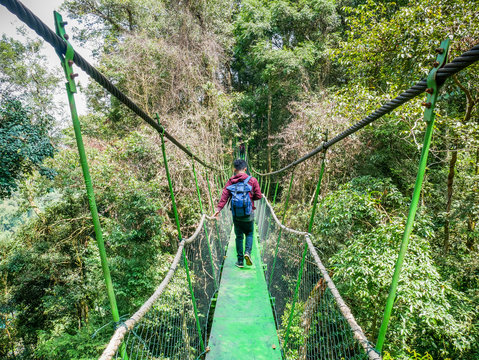 Canopy Trail in Bukit Lawang Orangutan Viewing Centre