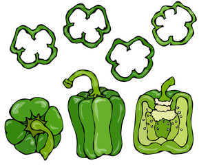 Green Bell Peper Set. Half of Sweet Paprika and Rings of Pepper Cuts. Fresh Ripe Raw Vegetables. Healthy Vegan Cuisine. Vector Illustration Hand Draw. Savoyar Doodle Style.