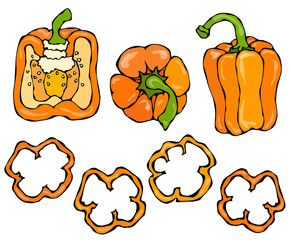 Orange Bell Peper Set. Half of Sweet Paprika and Rings of Pepper Cuts. Fresh Ripe Raw Vegetables. Healthy Vegan Cuisine. Vector Illustration Hand Draw. Savoyar Doodle Style.
