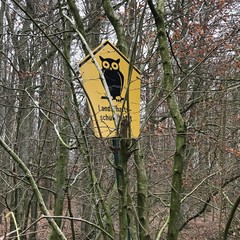 Naturschutzgebiet, Eule, Wald, Deutschland, Schild, Hinweis, Angst, Winter