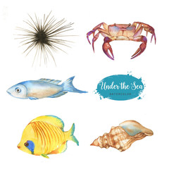 Hand-drawn watercolor illustration of the under the sea. Set of marine objects isolated on the white background