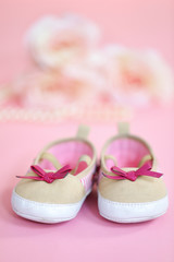 Fototapeta na wymiar Baby shoes on pink flooring with roses in the background