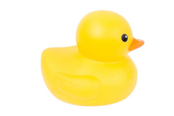 Yellow rubber duck cute on white background.