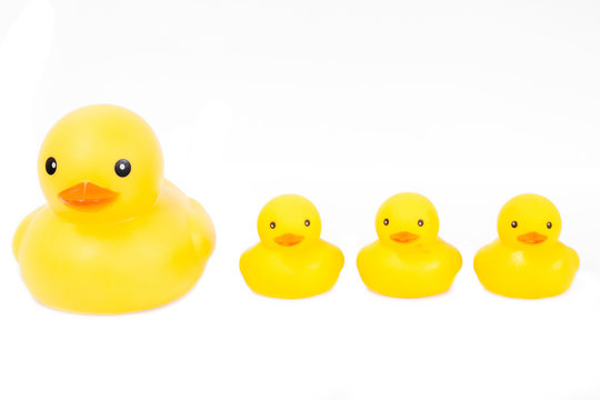 Group yellow rubber duck cute on white background.