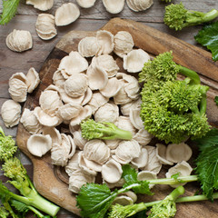 Raw homemade Orecchiette pasta and turnip greens