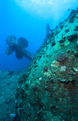 Wreck of the Salem Express, Red Sea, Egypt