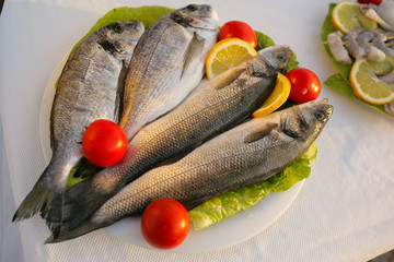 Presentation fresh fish, seafood, in restaurant.