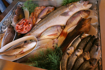 Presentation of fresh fish in restaurant.