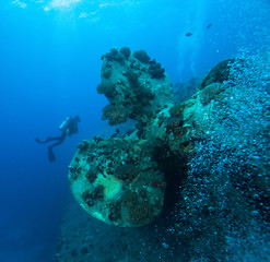 Fototapeta na wymiar Wreck of the Salem Express, Red Sea, Egypt