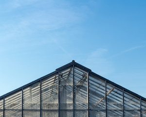 Fototapeta premium Peak of a glass and metal greenhouse against a blue sky. Architectural detail of a hothouse with copy space above. 