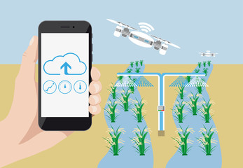 Internet of things in agriculture. Smart farm with wireless control. Vector illustration.