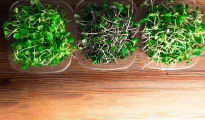 organic mix green sprouts