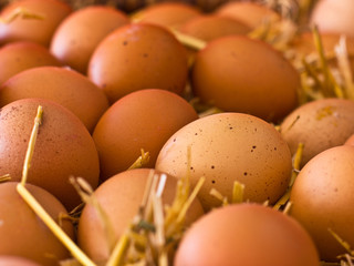 Fresh brown rustic natural chicken eggs on straw