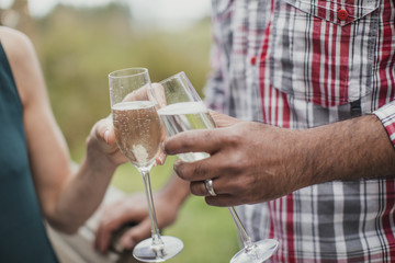 Champagne Celebratory Toast