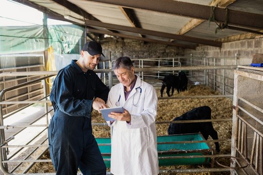 Doctor and worker discussing on digital tablet while standing in barn