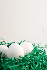 Eggs in a green paper nest. Three white eggs