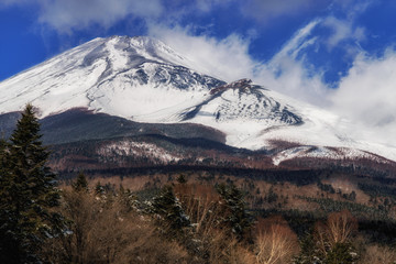 Mt.Fuji at winter
