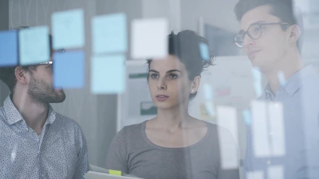 Business team working in the office