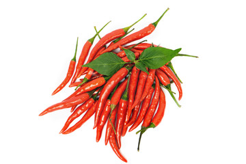 group of hot chili peppers isolated on a white background