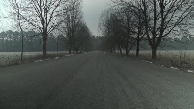 Empty avenue with trees in winter.