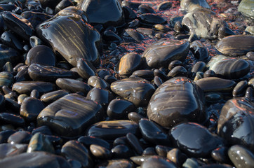 Stone colors at Koh hin ngam , Koh Lipe Thailand